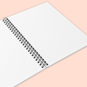 Lady in the Streets, Freak in the Spreadsheets Spiral Notebook