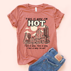 This Is Why I'm Hot Adult Unisex Tee - only 1 size S left!